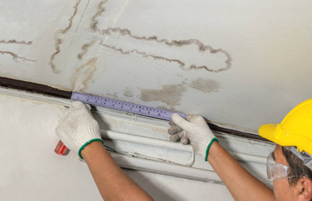 Reliable Mold Remediation contractor in Colbert, OK by Water Damage Irwin